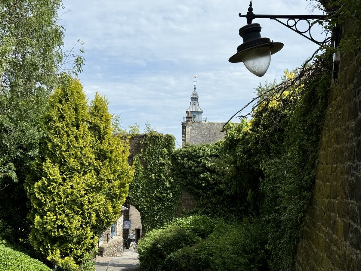 Elle Bee 📸💙🏴 tweet media