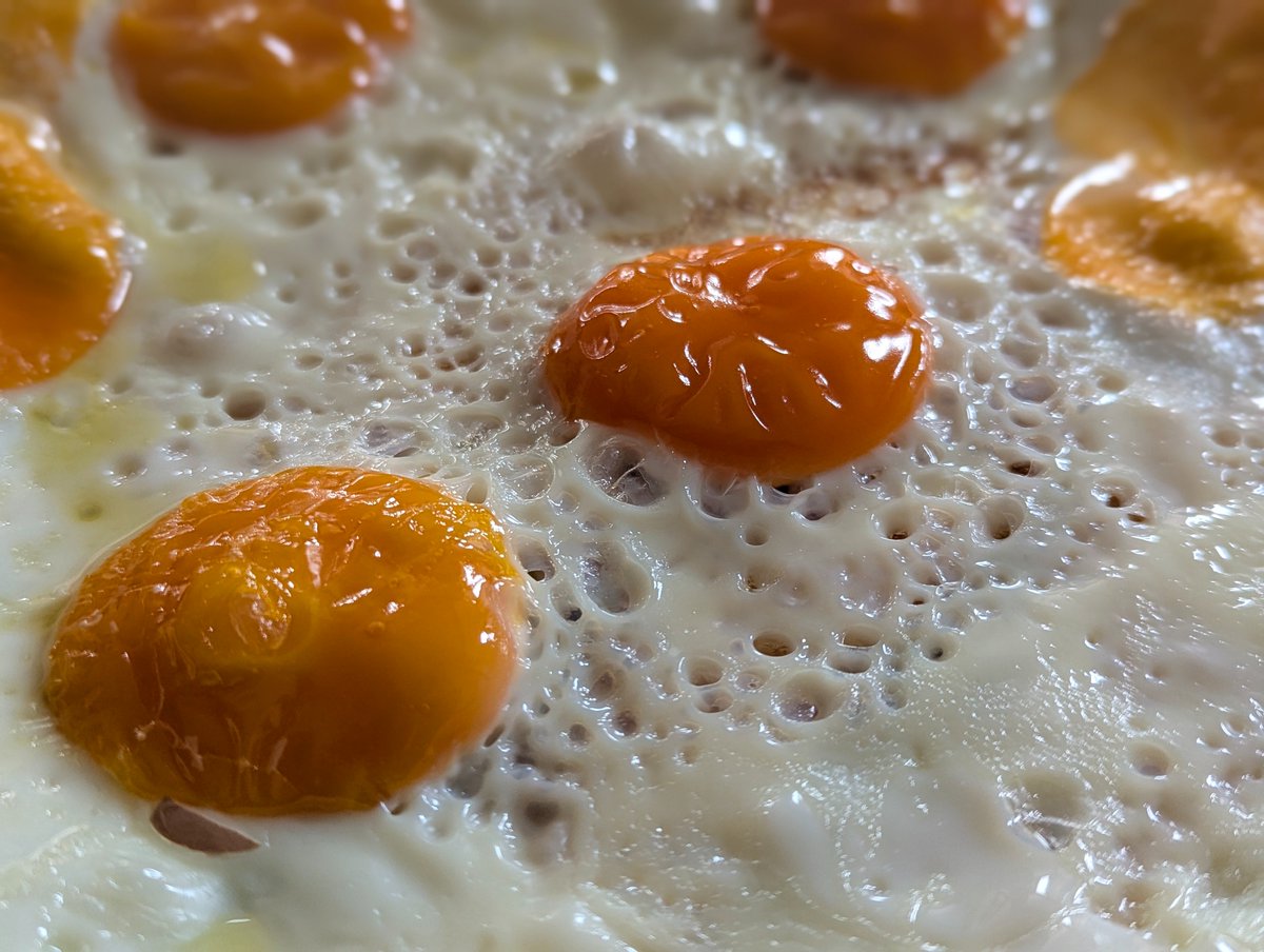 living in Bengaluru long enough to give my eggs the consistency of a dosa