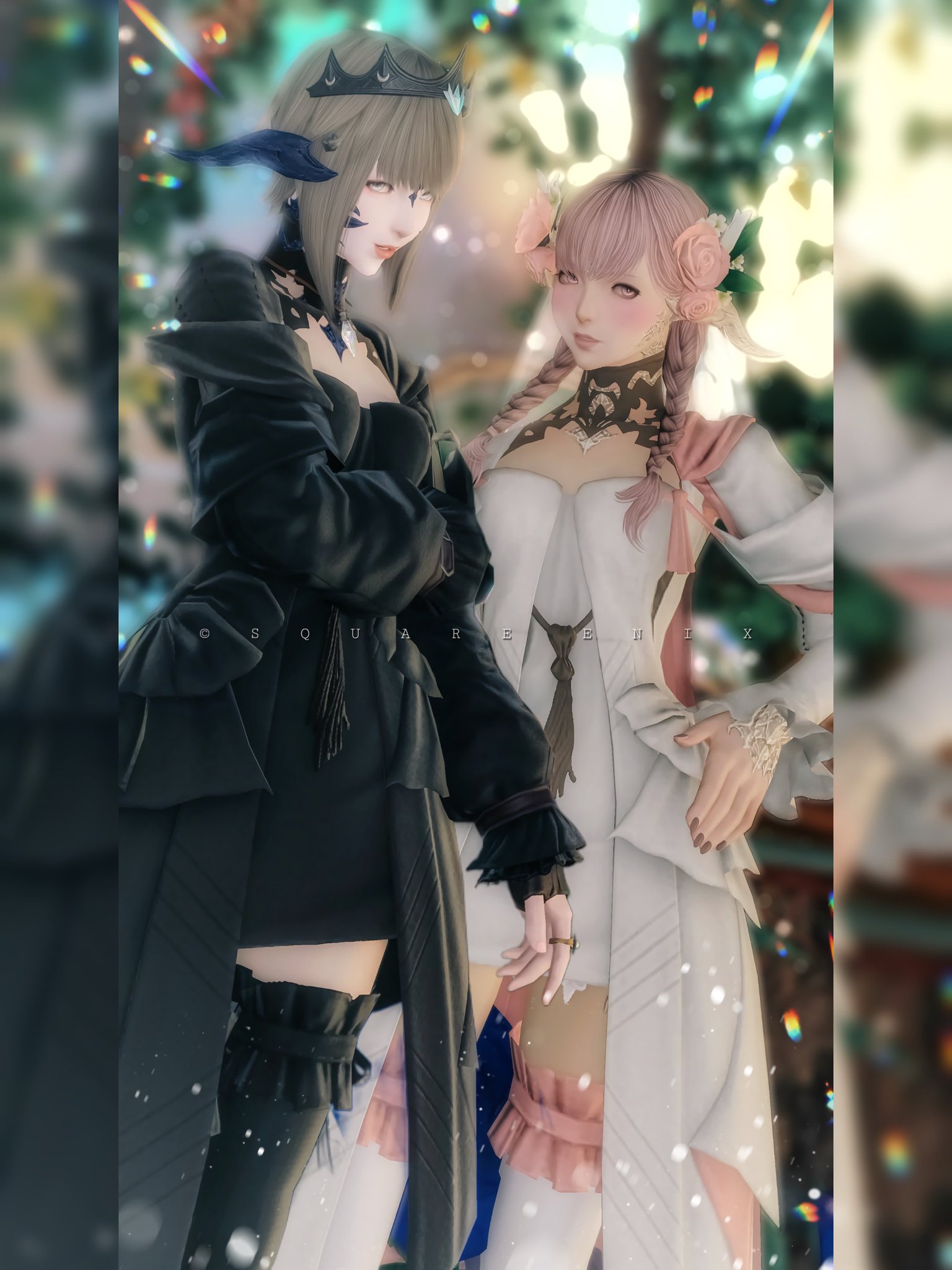 猫C 画像 1 + 14 最終値下げしました！ 黒猫@( 後角ゼラちゃんの姿🦎❤︎ ) on X: 
