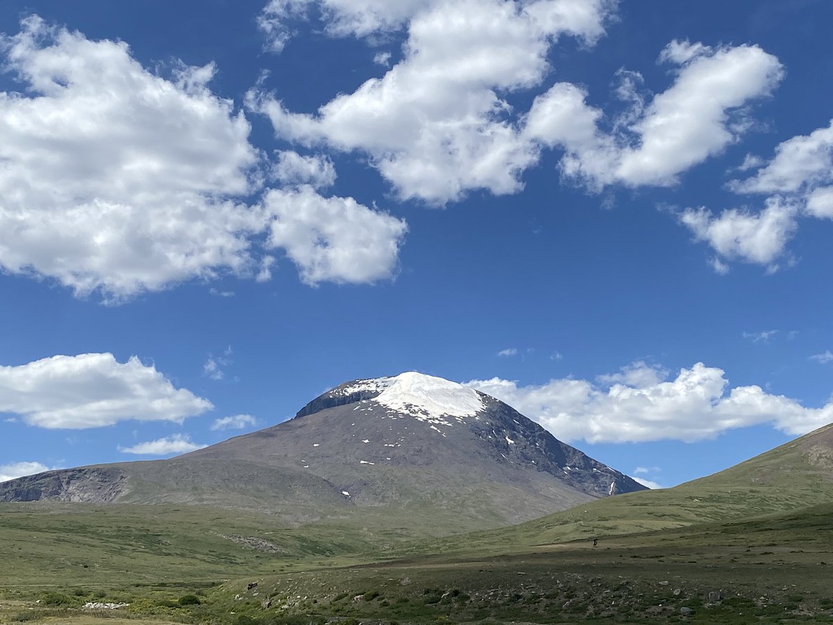 Сайхан хайрхандаа мөргөлөө. Бүгдээрээ эрүүл энх аз жаргалтай байгээ