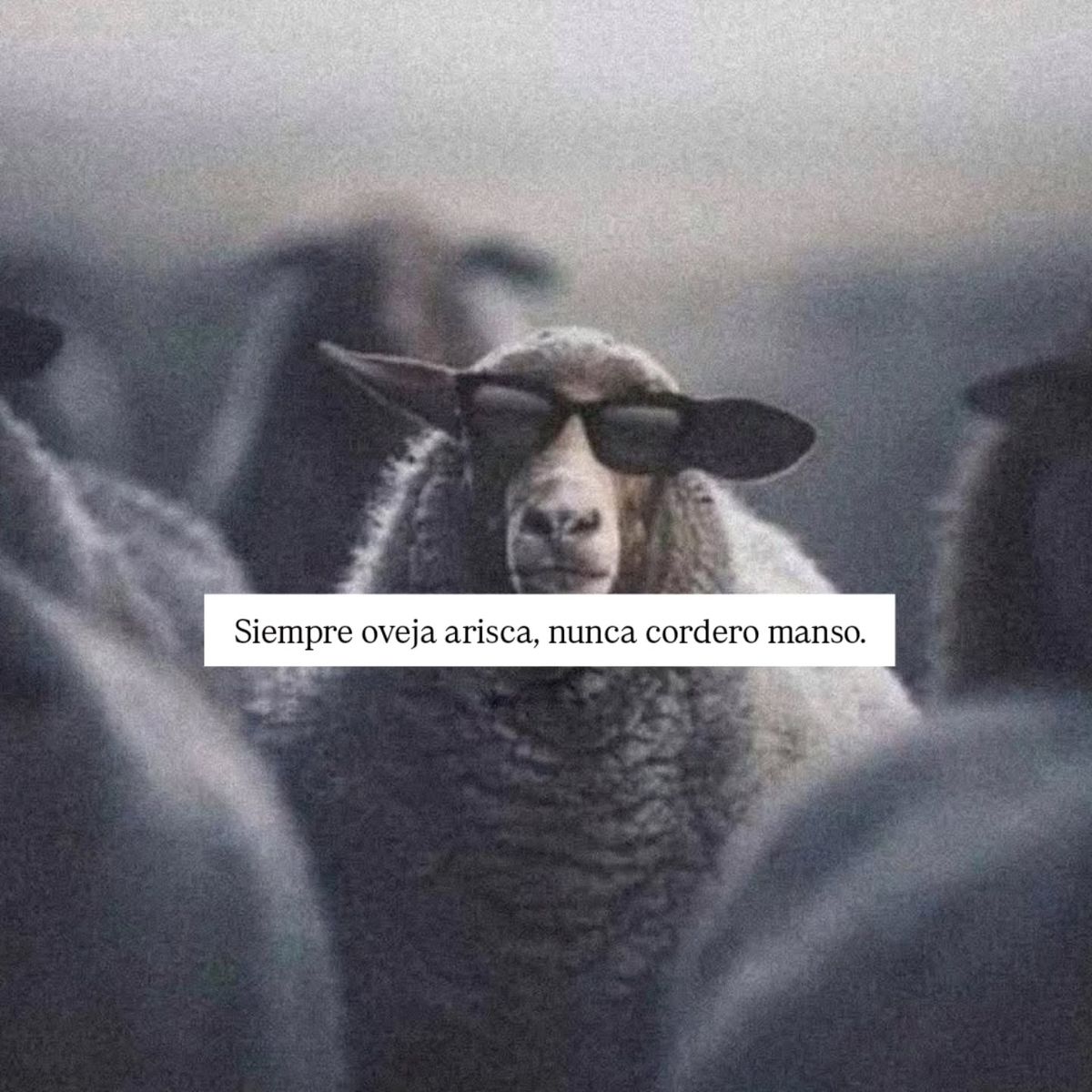 Cultura Literal (@culturaliteral1) on Twitter photo 
