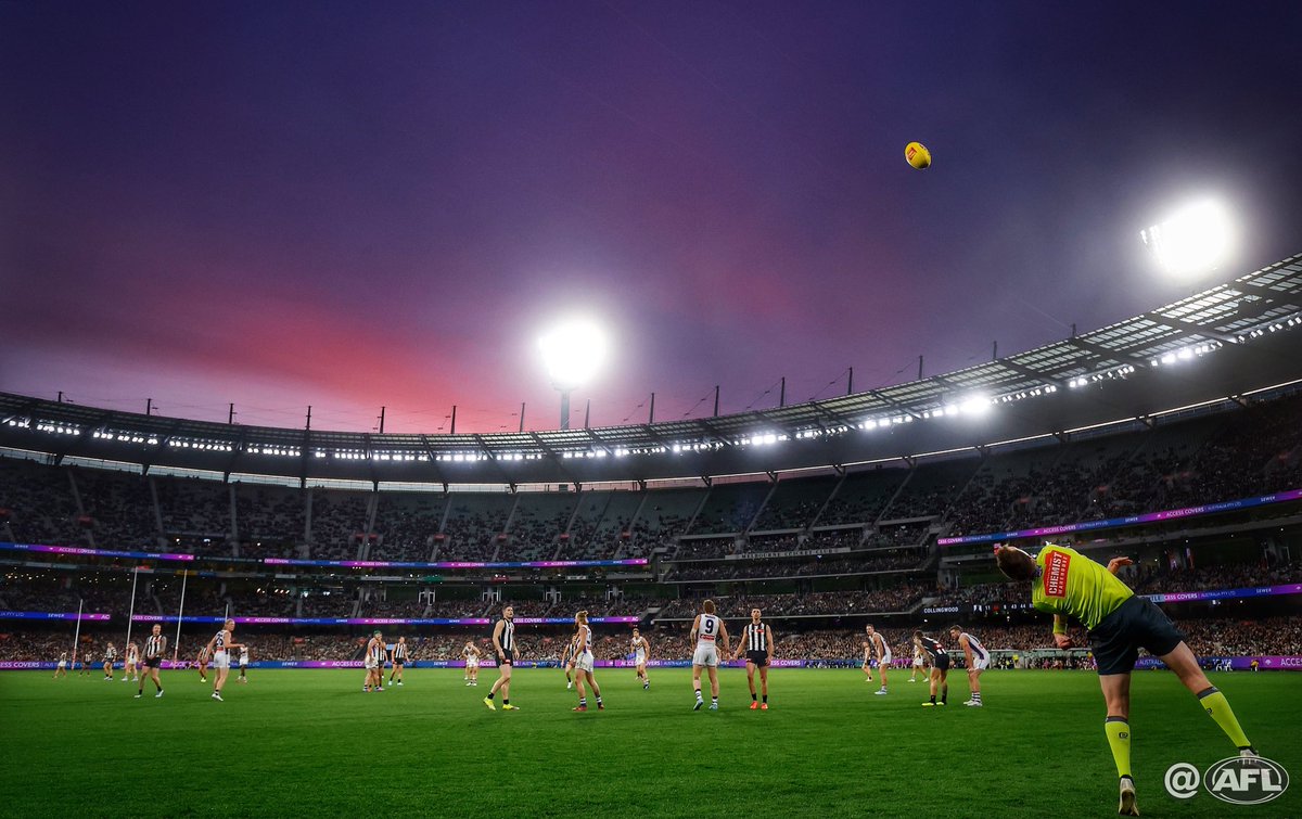 MichaelCWillson's tweet image. Winter is ending #AFLPiesFreo