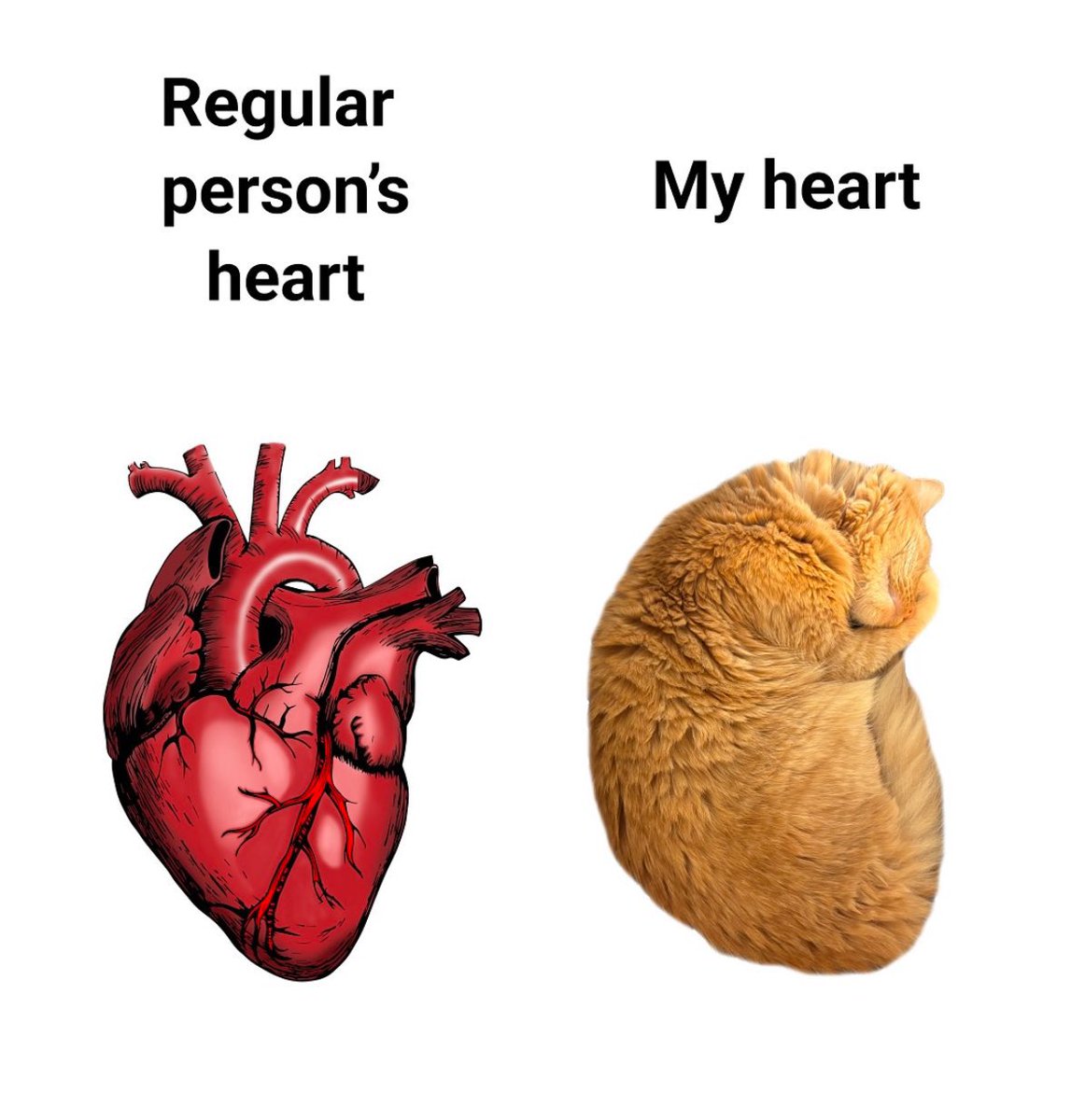 Real