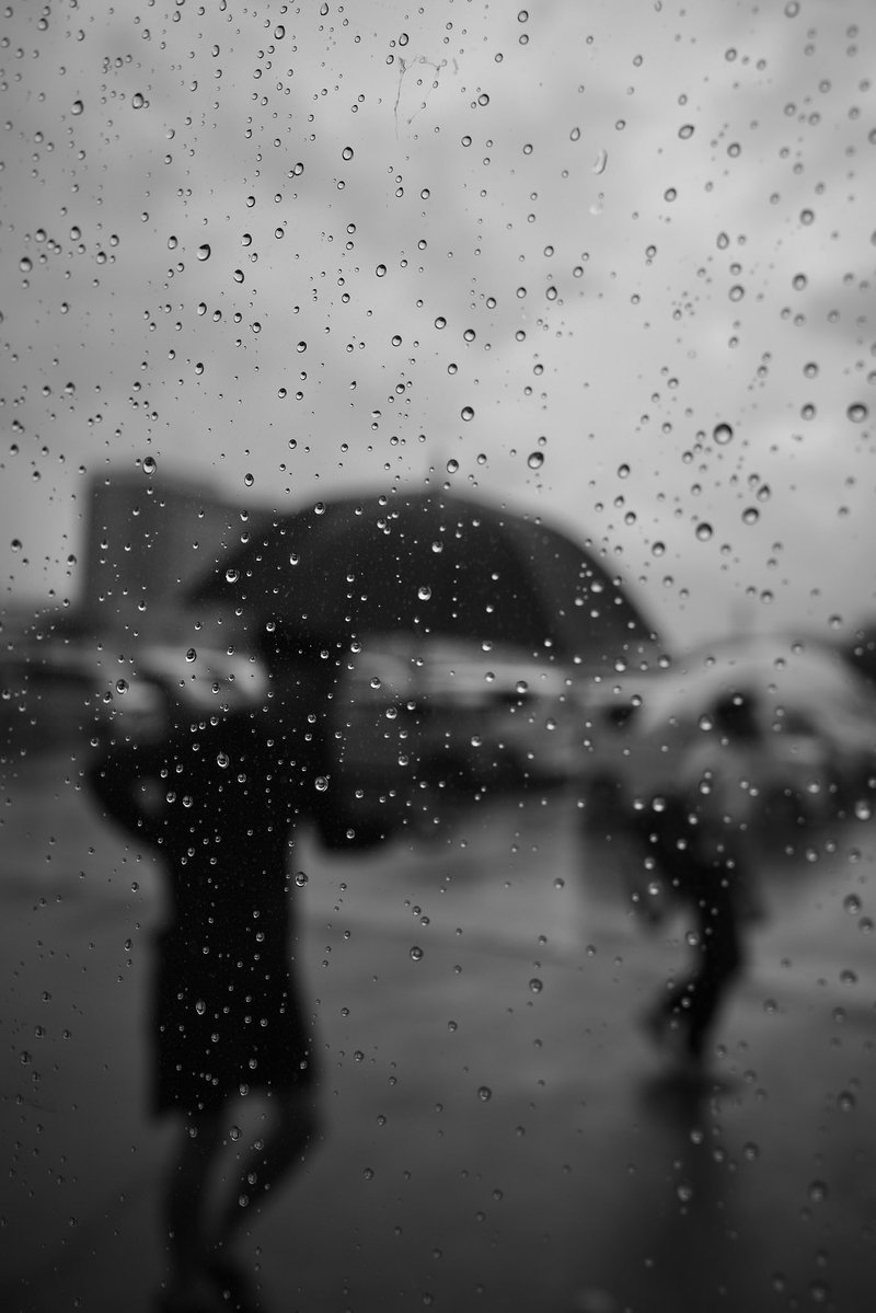 Samechan__17's tweet image. 優しい時間 2025 No196
Gentle Time
#優しい時間
#gentletime
#gr3
#モノクロ写真
#blackandwhitephotography
#白黒写真
#monochromephotography
#写真が好きな人と繋がりたい