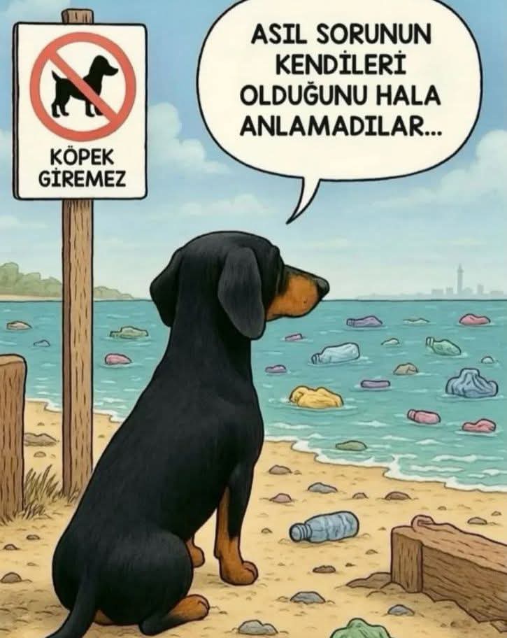 SepyaZeytin's tweet image. Dünyaya gelmiş en büyük felaket İNSAN! 😥 #YasayıGeriÇek