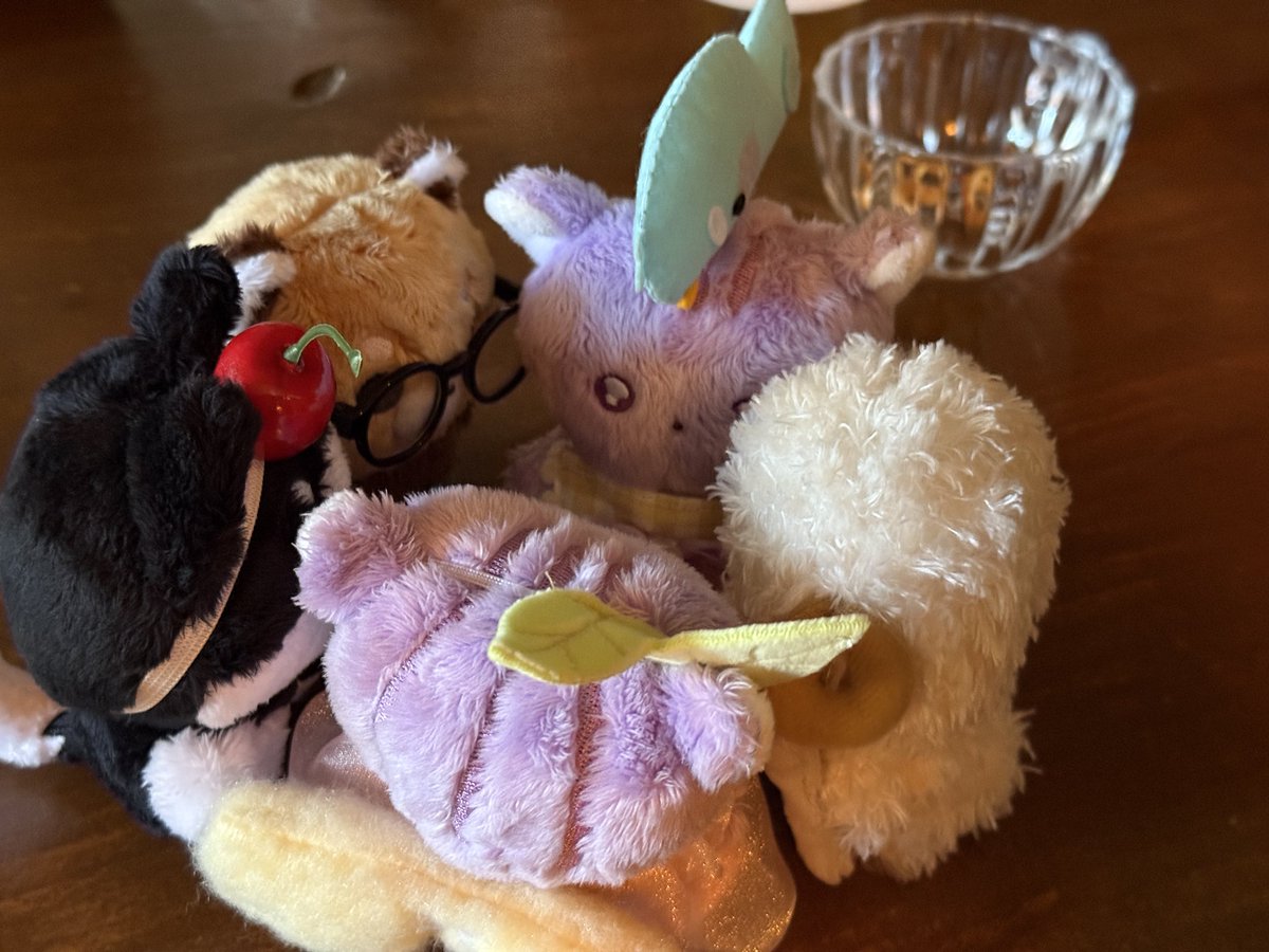 횐이들이랑 만나면 먹고 찍고 놀고 마시고 다 할 수 있다 <a href="/nmytmociu/">연</a> <a href="/shimoongg/">뭉</a>