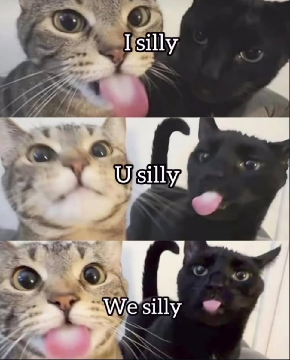 smol silly cat tweet media