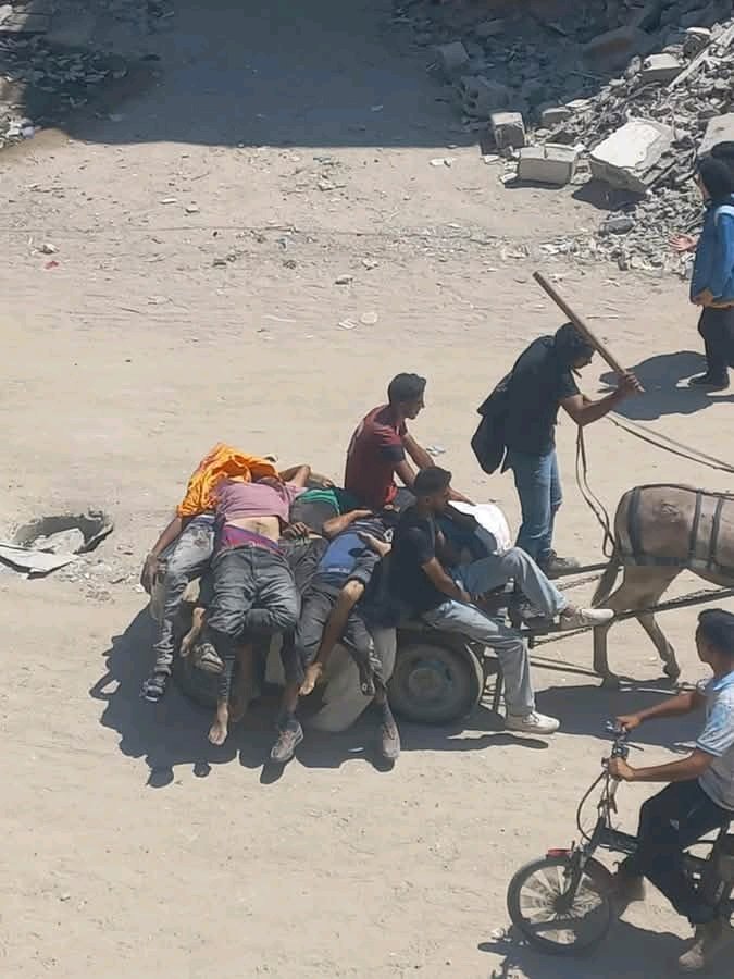 Kareem802329280's tweet image. Several martyrs were killed while waiting for aid in Zikim, northern Gaza.
#we are #hungry