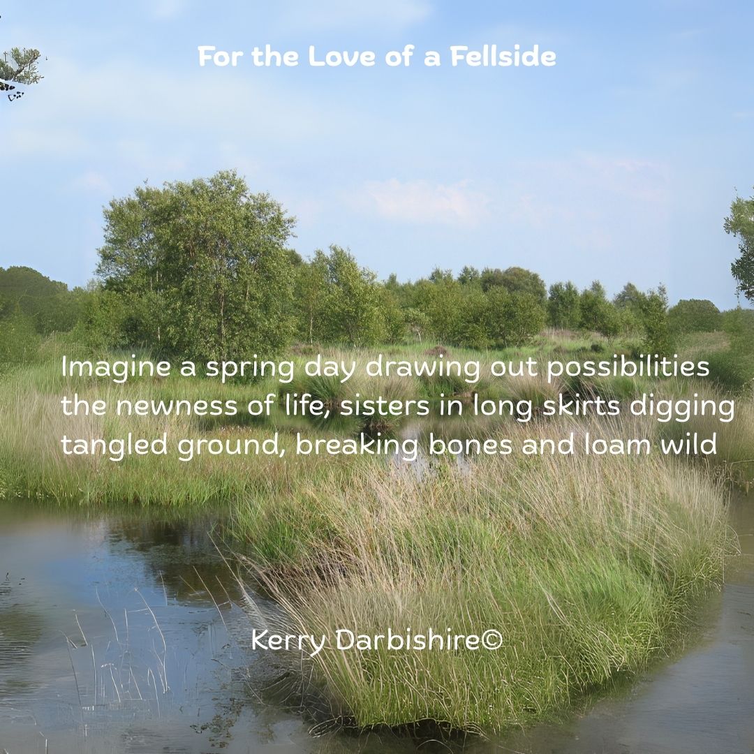 InkSweatTears's tweet image. In @KerryDarbishire's, 'For the Love of a Fellside', we are given a snapshot of life in a beautiful wilderness.
Read it here: inksweatandtears.co.uk/darbishire-ker…
#InkSweatandTears #Poetry #Submission