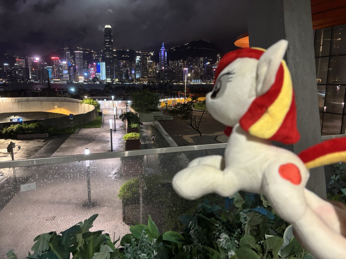 🇭🇰香港の夜景ポニ