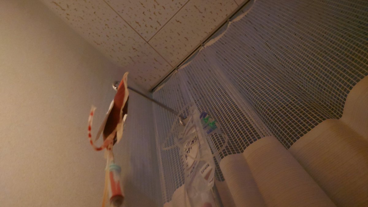 再々手術後2日目。

ちょっと良くなったかな？と思った足もまた腫れてます。

が、トイレに行く時に痛みが全然違う。

だいぶ楽になりました。

前回は手術中にした輸血を今回は手術後にしました。

とりあえず連休中のリハビリは無いので明けてから頑張ります！

#だらずプロレス
#スターチェイサー