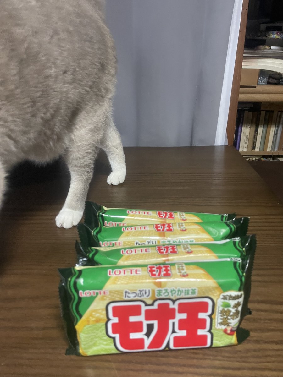 常食もな王 モナ王マルチ バニラ｜アイス｜お口の恋人 ロッテ