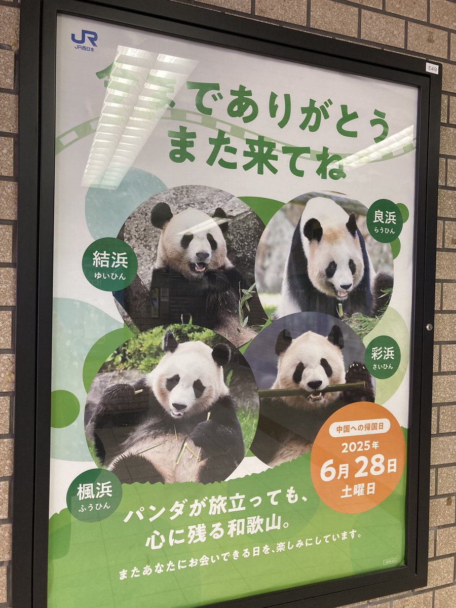 パンダ 他の方のご購入はお控えください とーき/To-Ki on X: