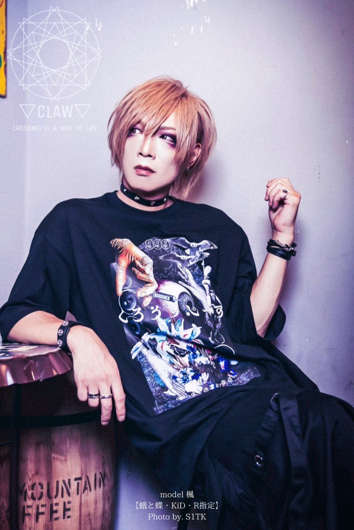 V系★R指定【楓】チェキ★29点セット V系☆R指定【楓】チェキ☆29点セット