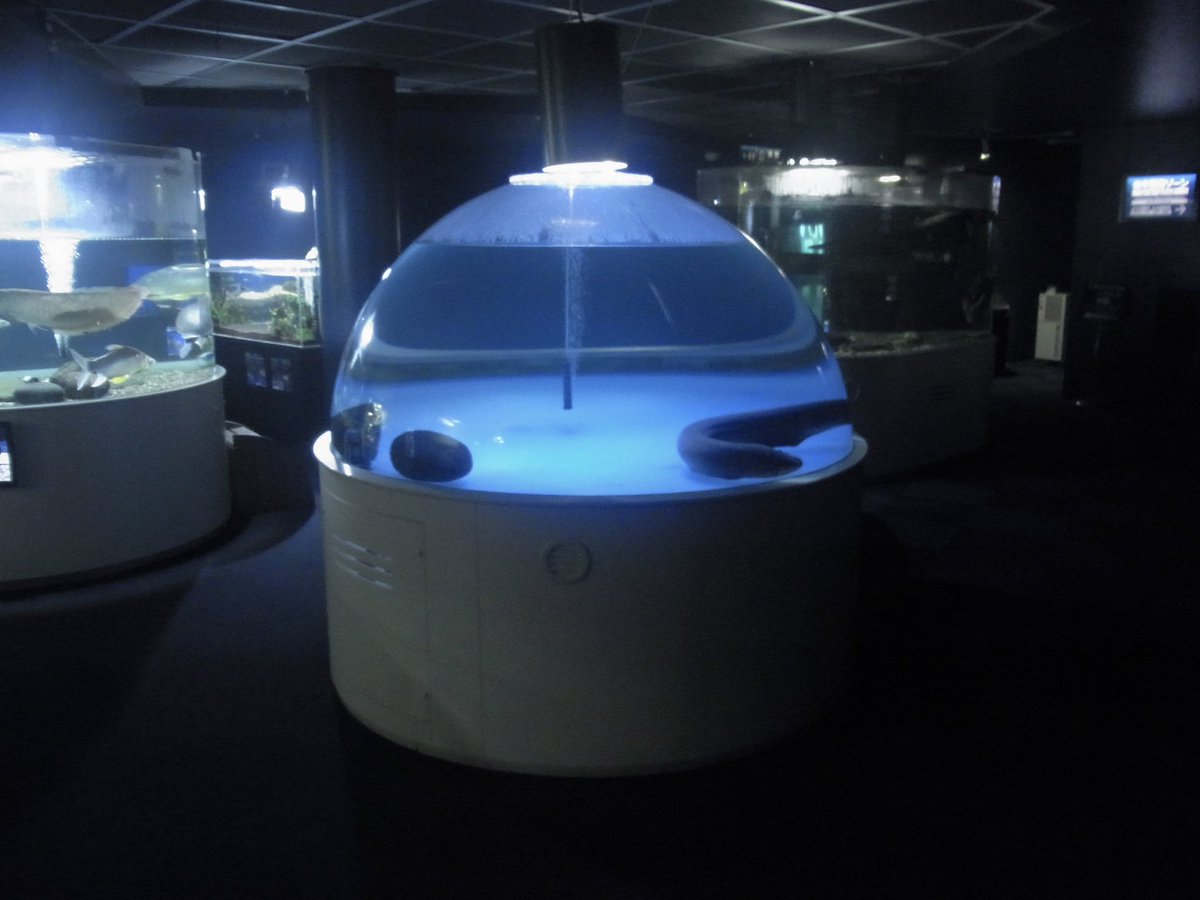 #6 (@nnuf22) on Twitter photo 