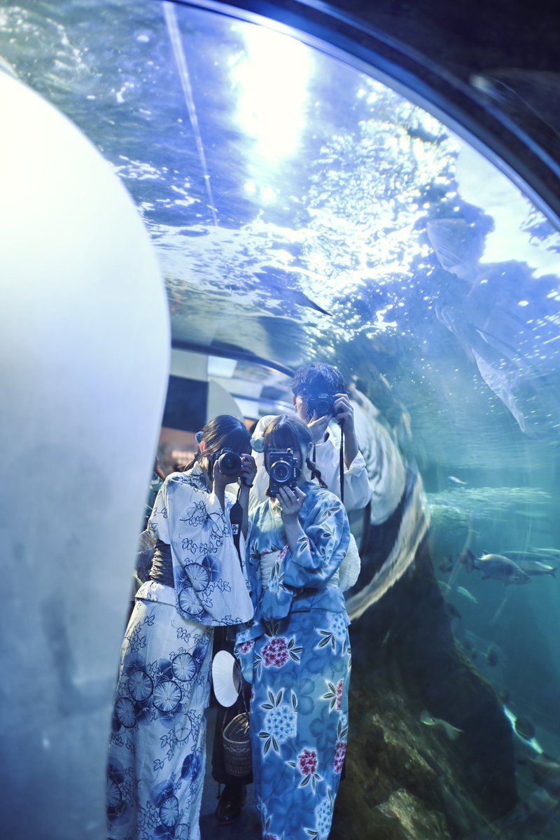 it____00's tweet image. 今年初めての浴衣を着れて嬉しい👘
