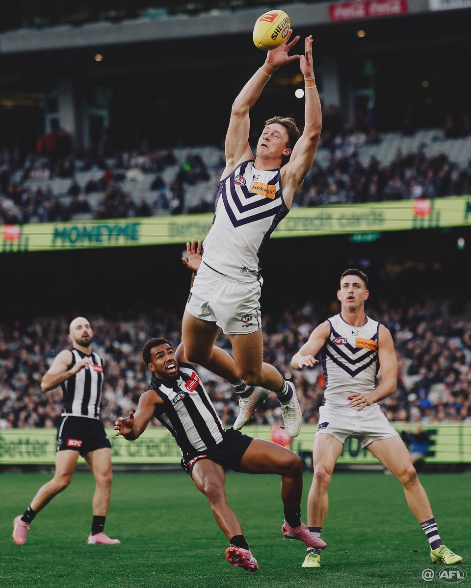 MichaelCWillson's tweet image. Jumping Jye Amiss #AFLPiesFreo