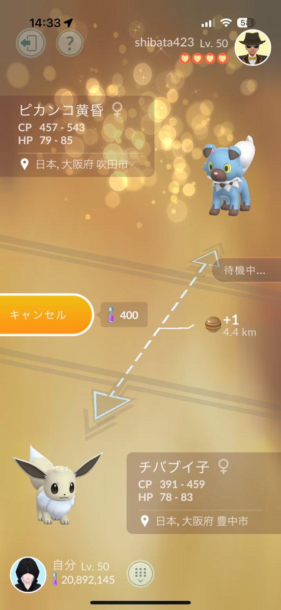 pikamarutks's tweet image. 今日のコミュデイはちばたさんと
まったりやったよ〜\( ´ω` )/
キラチャームというすごいアイテムで
キラ交換したよ✨️←キラチャームを知らなかった民
フェスでも頑張ったけど 出てきてくれなかった色違いイワンコ黄昏を交換していただきました❣️ ちゃんと黄昏たよ〜🤩