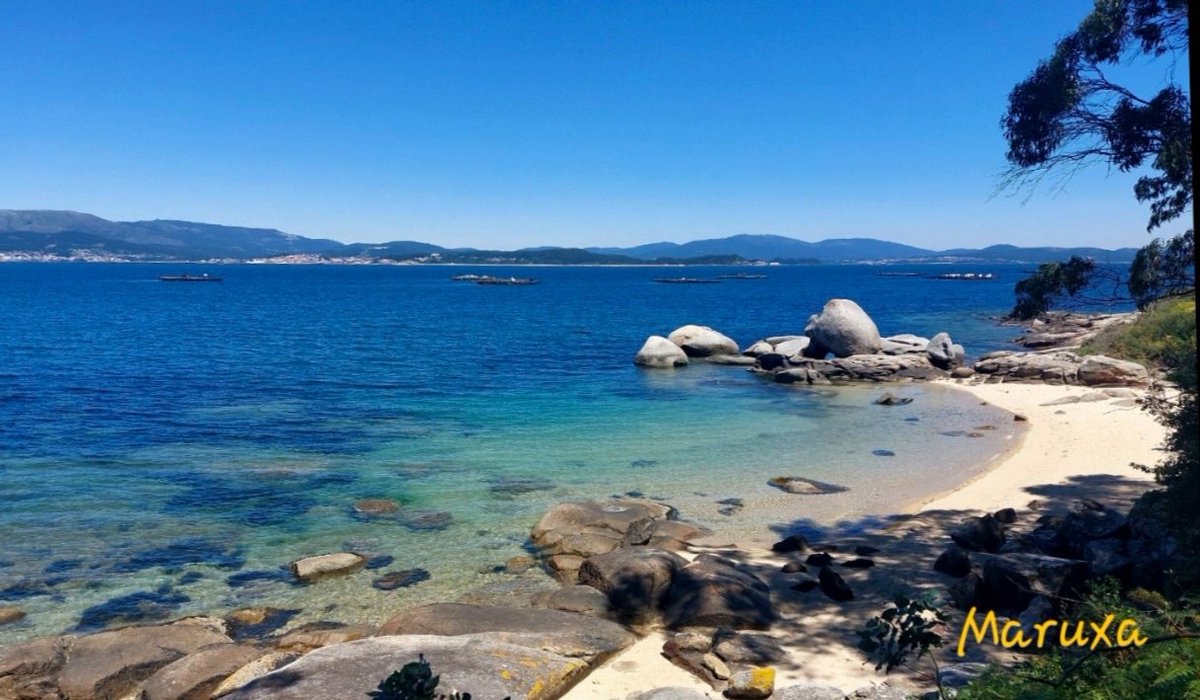 Buenos días, a tí qué me lees...🌞

Necesito del mar porque me enseña:
no sé si aprendo música o conciencia:
no sé si es ola sola o ser profundo
o sólo ronca voz o deslumbrante
suposición de peces y navíos...

P. Neruda 💙

#Galicia 
#Mar