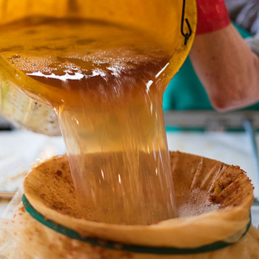 CAMRA_Official's tweet image. 🍎 #CiderandPerryMonth is the perfect time to learn about these great drinks.
📺 Check out our How Cider is Made series by @theciderologist, on our #LearnandDiscover platform, where he follows a traditional &amp;amp; modern cidery.
👉 Watch now: orlo.uk/LhUIJ
📷 @BillBradsPhoto