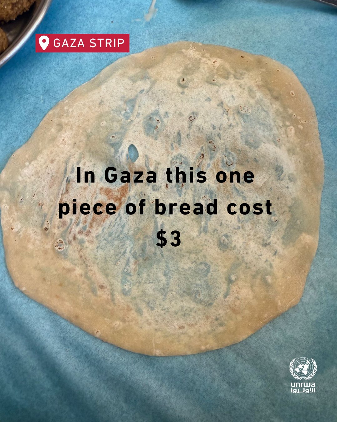 [爆卦] 聯合國近東救濟處：加薩物價漲4000%