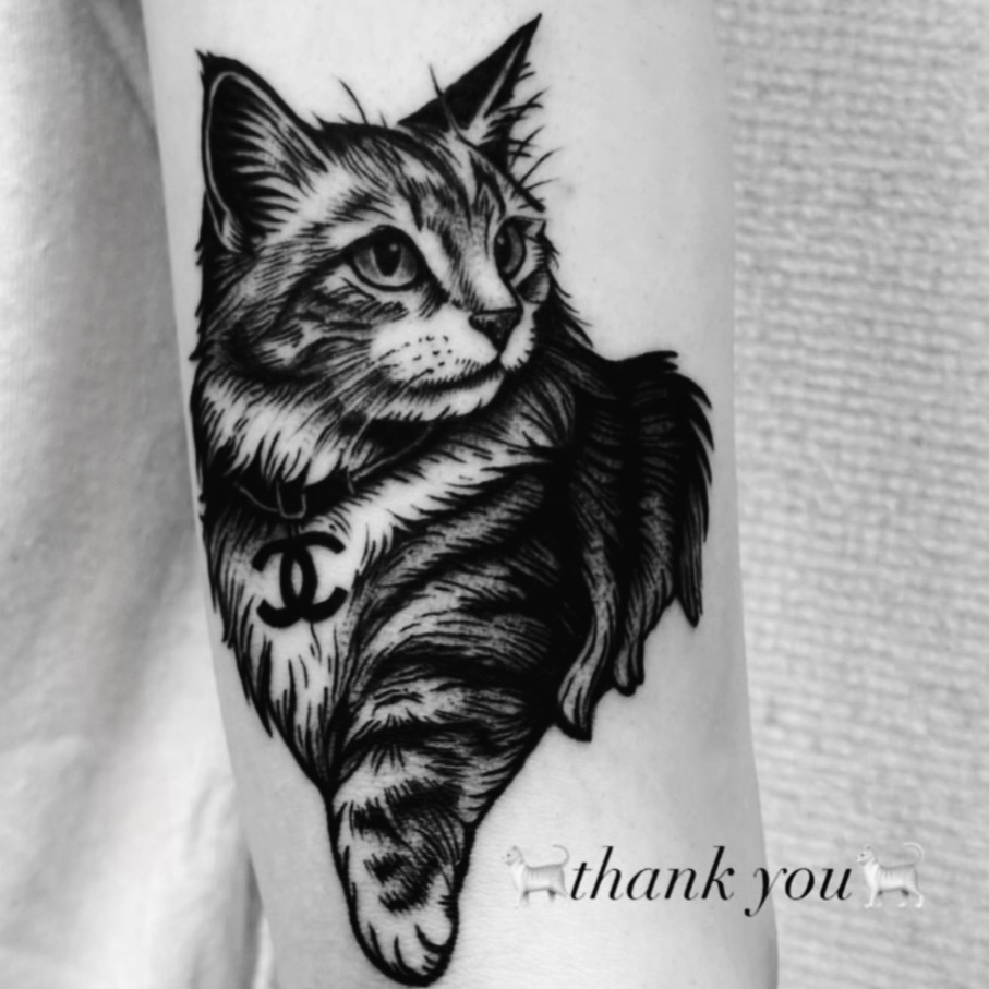 𝔎𝔎𝔎 (@kuu_kkk_kuu) on Twitter photo 