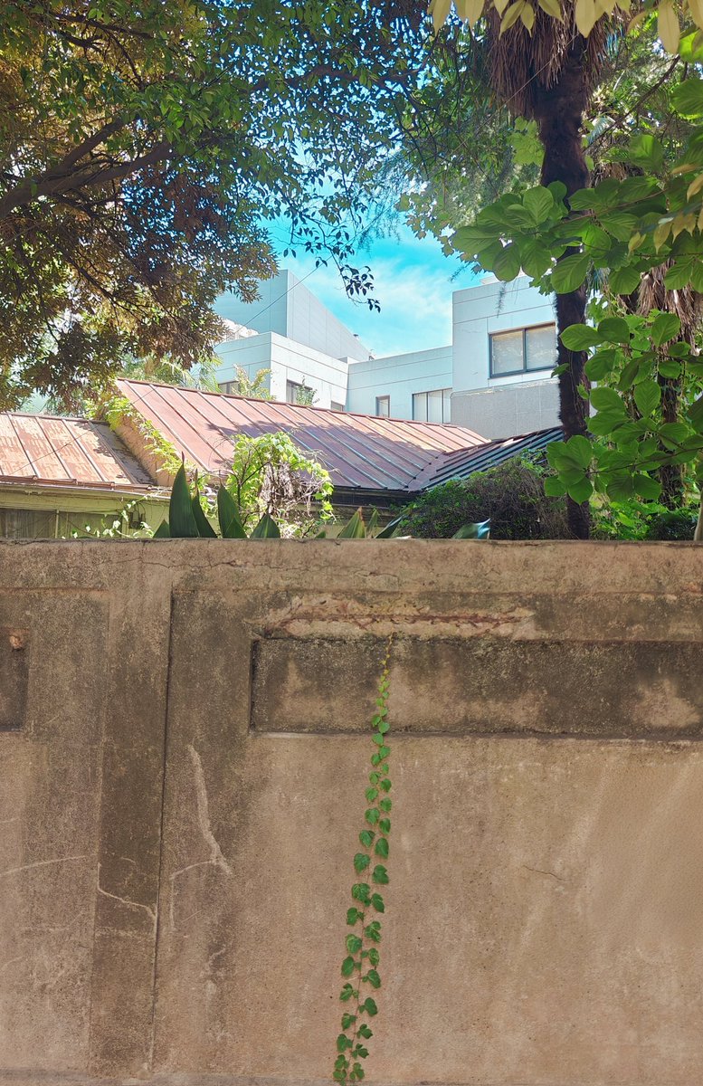 顺着光，一步一步往上爬。