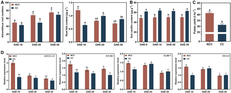 CellPressNews's tweet image. Self-alleviation of continuous-cropping obstacles in potato via root-exudate-driven recruitment of growth-promoting bacteria
hubs.ly/Q03xdCgw0
July featured research article from #PlantCommunications (@MPlantPCom)