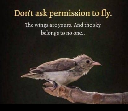 Tech_ashish01's tweet image. Don&apos;t ask permission to fly

#motivational #SuccessfulRecovery