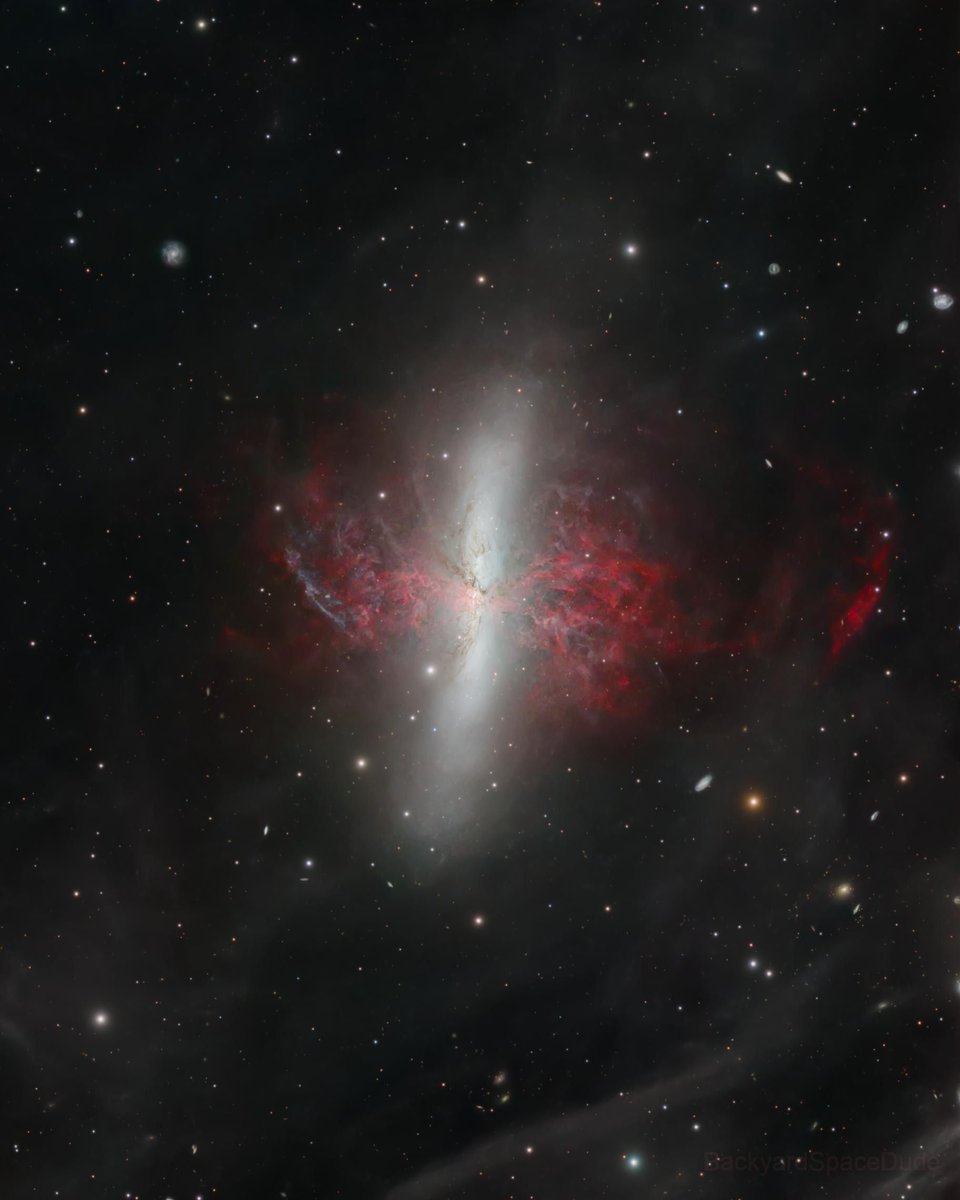AstroBin_com's tweet image. AstroBin's Image of the Day: "M82 - The Cigar Galaxy" by Jamie Macdougall - astrobin.com/ivpyeo/
#astrophotography