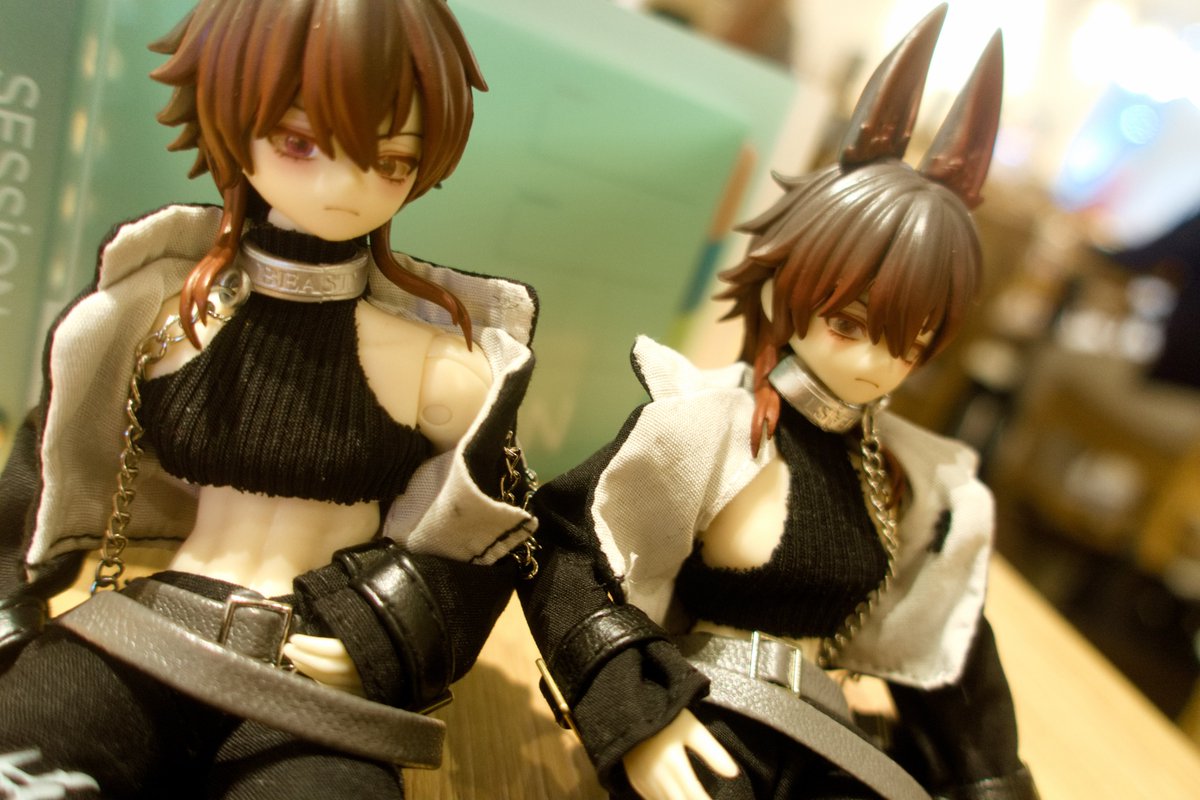 かぼっちです♡✽アウトフィット付✽ アイシードール　カスタム ✽ アイシードール カスタム60♥️アウトフィット付き(靴も