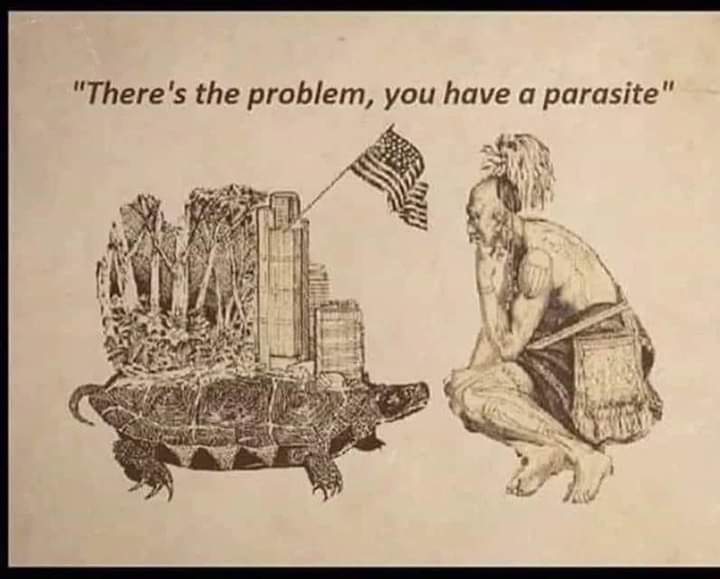 SpottedElk7's tweet image. Corruption disguised as "business."
#LiberateTurtleIsland