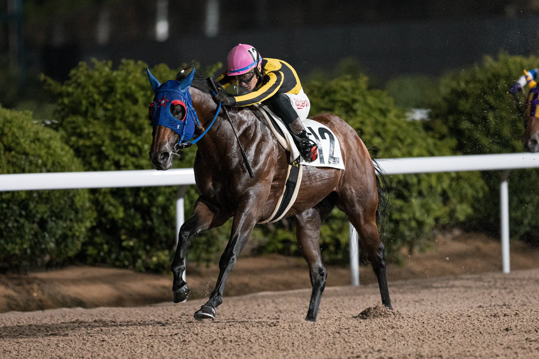 競馬の極み 6/27(土) 東京競馬場 全レースコース分析+α 随時更新｜JRDB 競馬