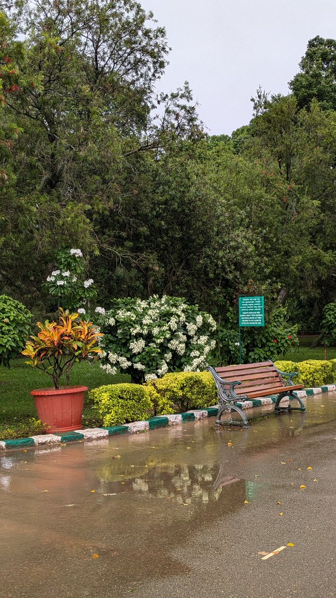 suparnojit26's tweet image. Lalbagh