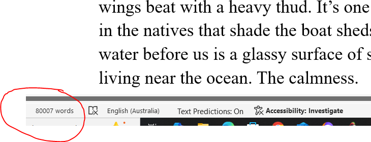 RebeccaTElley's tweet image. School holidays are over, and I've made it to my aim of 80k words for my THIS IS OUR BEACH WIP. Now my favourite part, editing! #WritingCommunity #writingabook