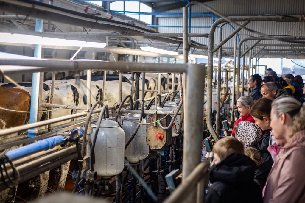 AgriAware's tweet image. Ever wondered how your milk gets from the farm to your fridge? 🐄🥛
This summer we’ve been showing the public exactly what happens on dairy farms
Did you know there are around 17,000 dairy farmers in Ireland producing high-quality dairy products all year round?
But not all…