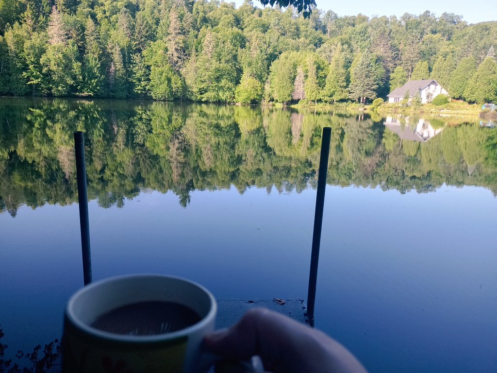 DAVEANTIWOKE's tweet image. Encore un merveilleux matin au chalet, loin de la tabarnak de ville 😅 bonne journée a vous tous 🙂😘