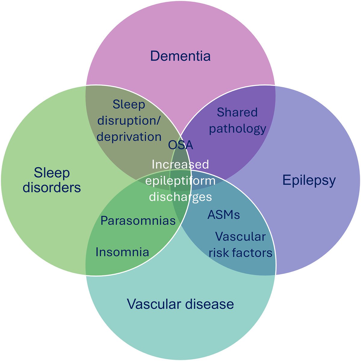 Brain1878's tweet image. Disentangling epilepsy and dementia: more to do, together
New scientific commentary by Arjune Sen tinyurl.com/mr44jt9b