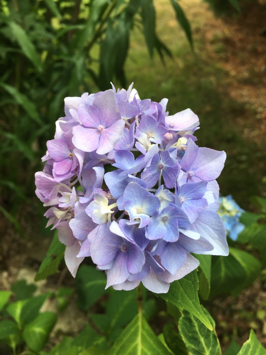 Gott ist ein Künstler 💜