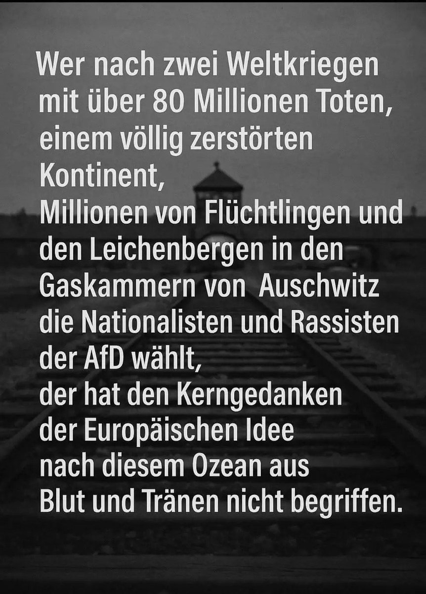 DaniWeicheL's tweet image. #wirsindmehr #fckafd #AfDVerbotJetzt #NiemalsCDU #NieWiederIstJetzt #Brandmauer