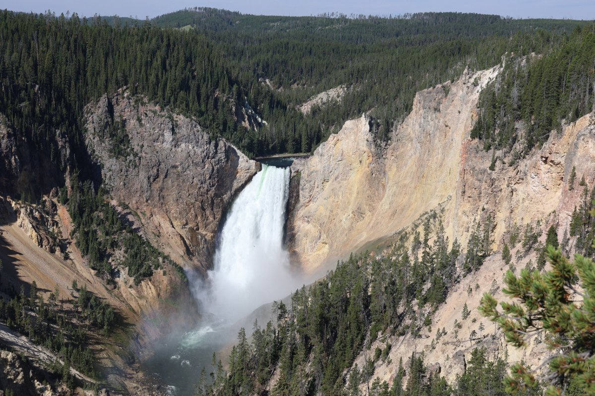 cassidyhett's tweet image. Will be back to the regularly-scheduled sports programming soon, I swear
📍Yellowstone NP