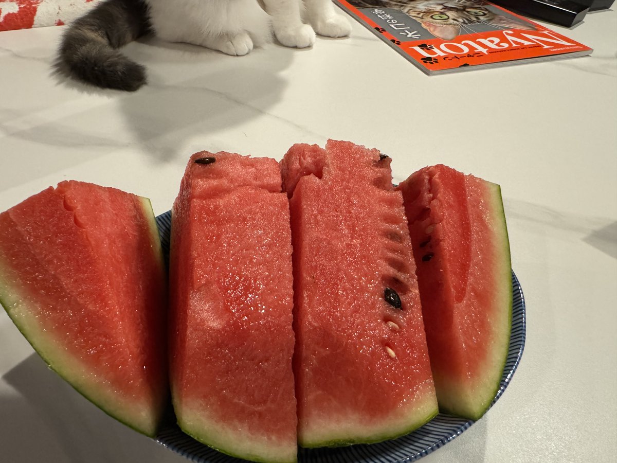 YySanyo1's tweet image. 夏です🍉