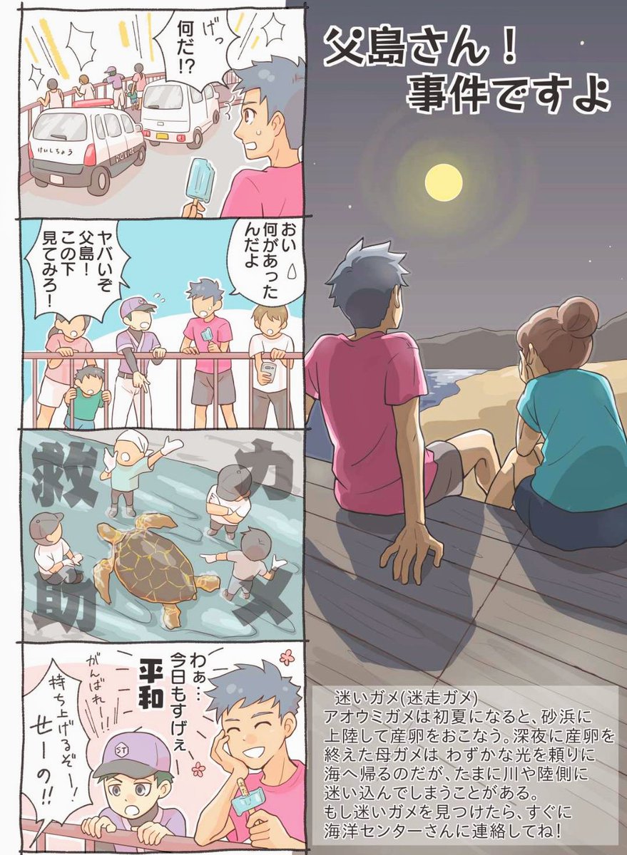 ogswr_diary's tweet image. 海に帰れないアオウミガメがいたら、そのへんの島民(半そで短パンギョサンですごく日焼けしてる人とか)を捕まえてね!
きっとなんとかしてくれる🥹