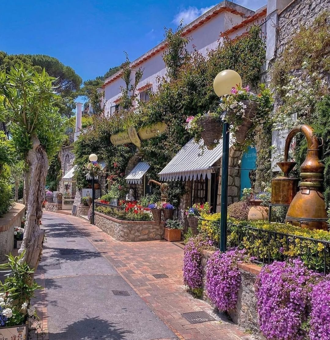 marabutterfly's tweet image. I weekend a #Capri ormai sono un rito ❤