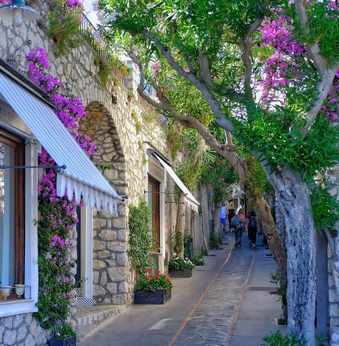 marabutterfly's tweet image. I weekend a #Capri ormai sono un rito ❤