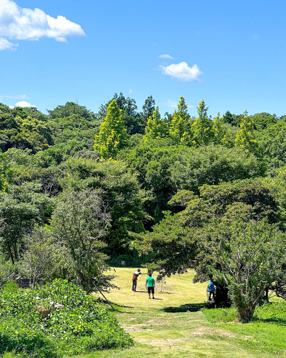 福井モーニングコンペ@水沢キャンプ場、に参加してきました
facebook.com/share/p/15kD2Z…
