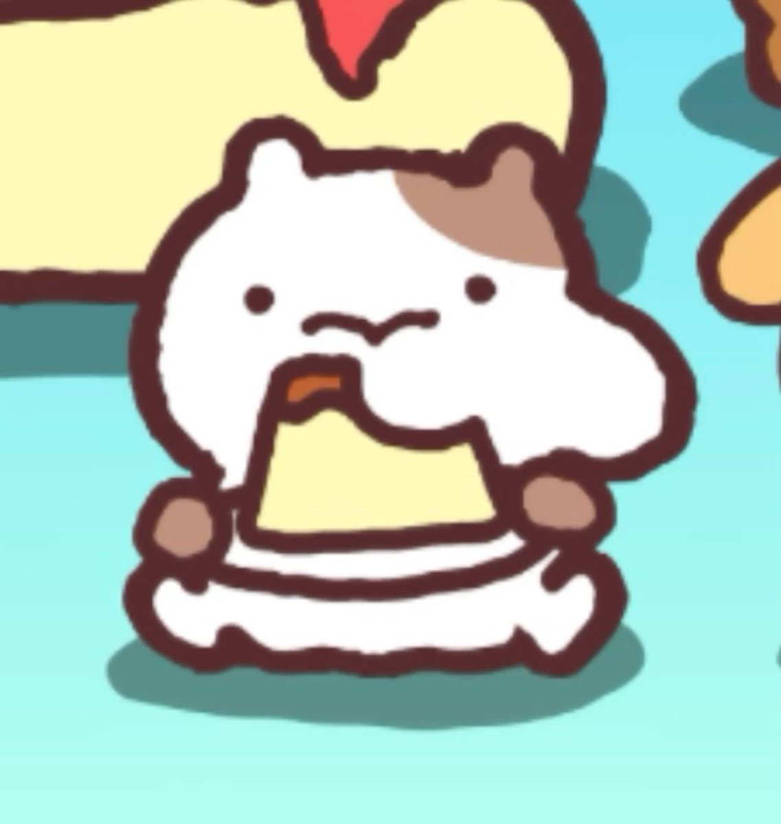 햄담곰 tweet media
