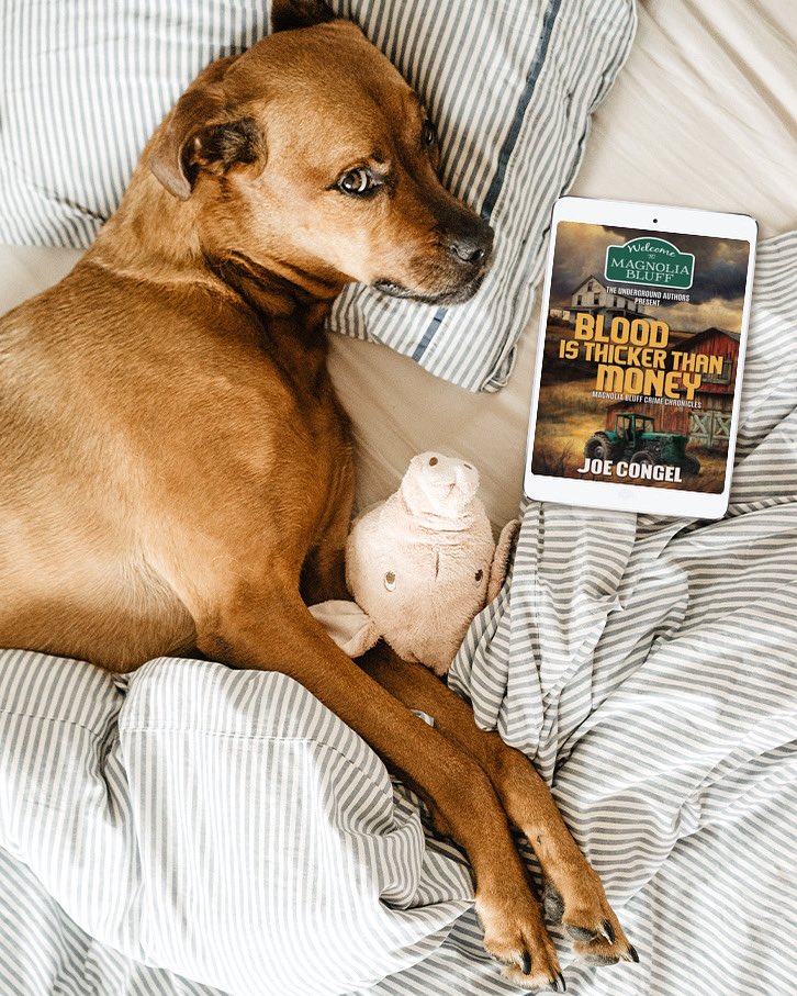 Just a couple more days before
✨Blood is Thicker than Money✨
Releases! 

Available Tuesday July 22, 2025

💥Special #preorder price!💥
🔥JUST 99¢ for a limited time!🔥

⬇️ Check it out here ⬇️
bit.ly/4lF8s5a

#MagnoliaBluffCrimeChronicles 
#crimefiction #NewRelease