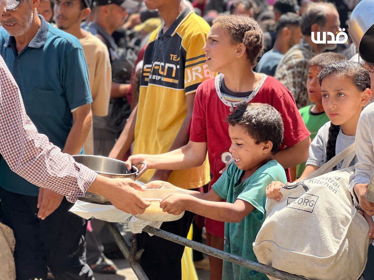 همدا شېبه
د سختې لوږې د لاسه د وړیا خوړو تر لاسه کوولو لپاره د منځنۍ غزې النصیرات سیمې ته راټول شوي #غزوال.
د امت پر ټنده د ذلت خالونه😭😭💔💔
#غزه_تموت_جوعاً