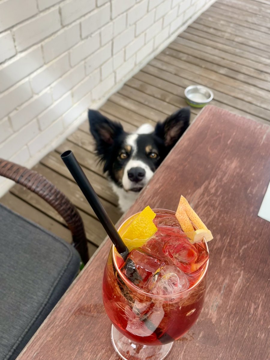 Salmiņā ielīda lapsene un iekoda mēlē. Un kā jūsu svētdiena?